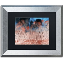 Trademark Fine Art "First Show" Canvas Art by Philippe Sainte-Laudy Black Matte, Silver Frame