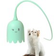 thumbnail image 1 of Cat Wand Toy, Automatic Silicone Tail Teaser Toy 2 In 1 Electronic Interactive Cat Toy With Led Light For Indoor Cats Rechargeable Exercise Toy, 1 of 5