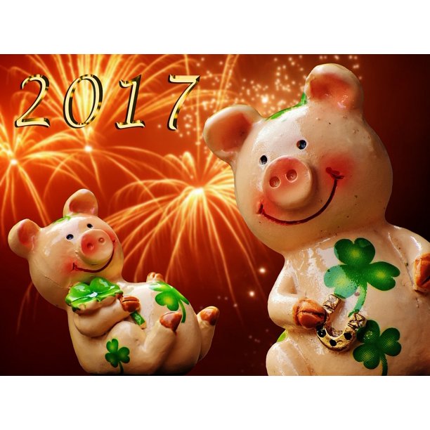 Lucky Pig Lucky Charm Luck Piglet Cute Sow20 Inch By 30 Inch Laminated