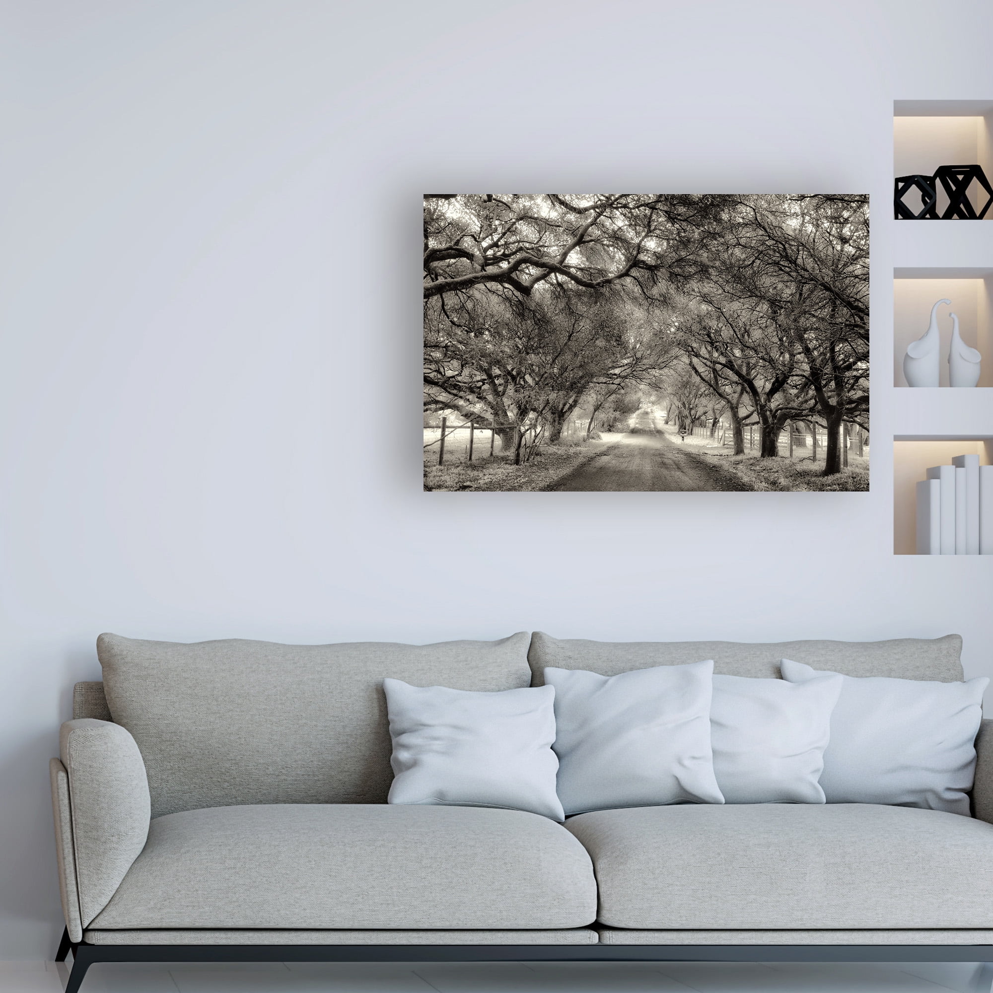 Trademark Fine Art 'Canopy On Trees' Canvas Art by Lucy Aro