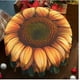 thumbnail image 3 of Mantel de girasol Every Meal, impermeable y antiarrugas, ideal para cualquier ocasión., 3 of 3