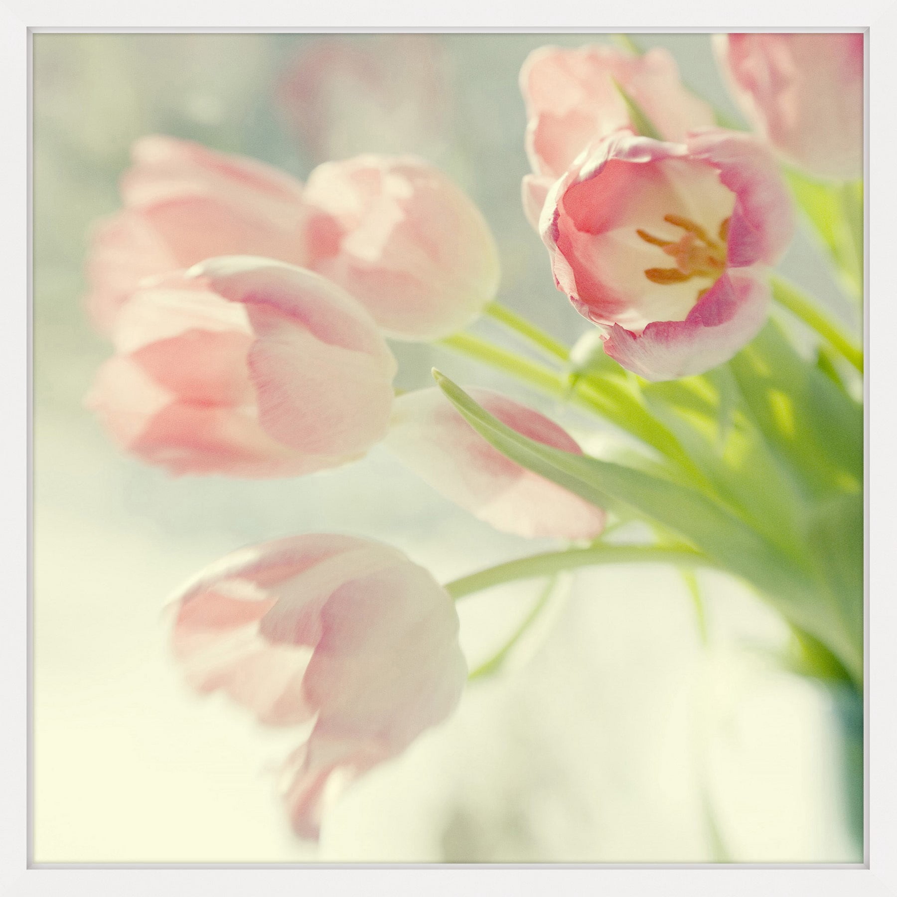 Pink Tulip Bouquet Framed Painting Print