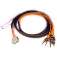 thumbnail image 2 of Avid DB25-TRS DigiSnake 4' - 8-Channel Balanced Cable, 2 of 2