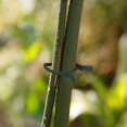 thumbnail image 3 of 100-Pack Garden Plant Clips for Securing Plants to Supports, 3 of 5