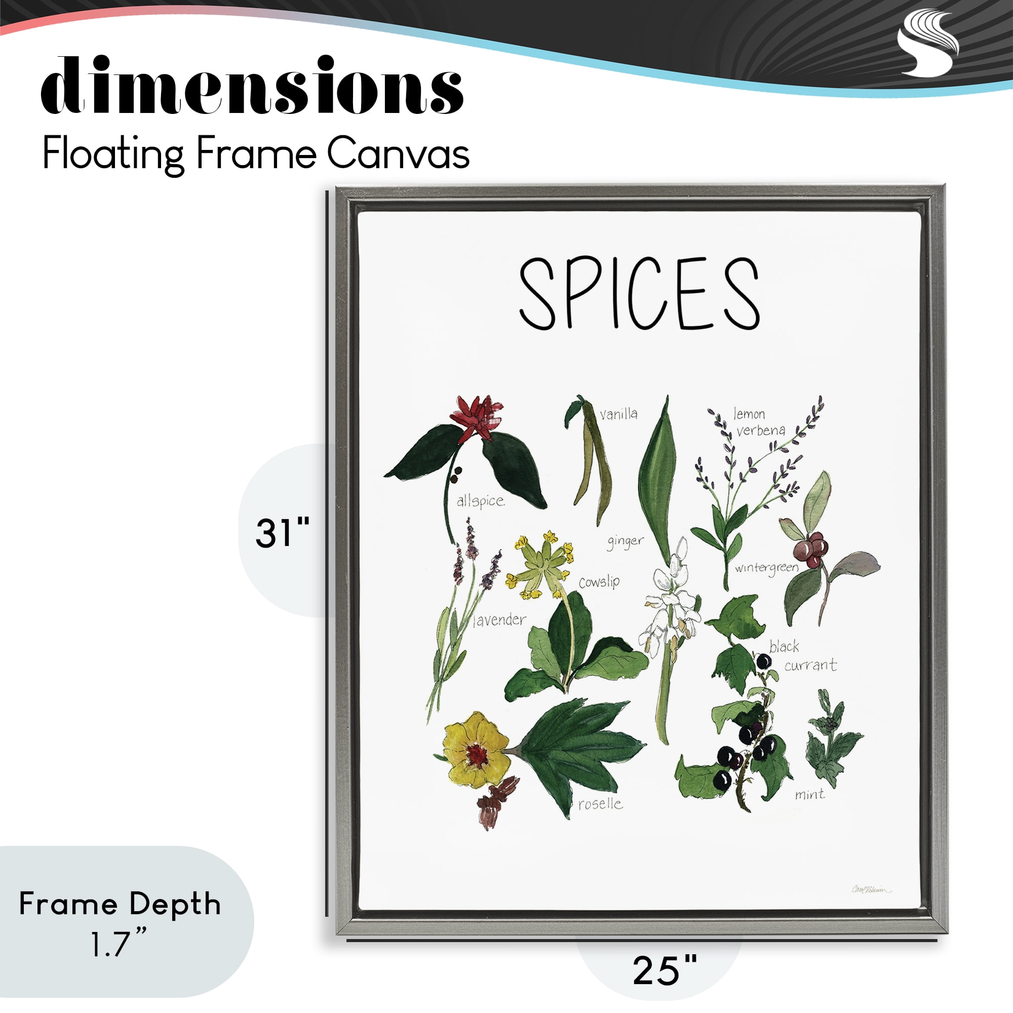 Stupell Industries Spices Identification Chart Gray Framed Floater Canvas Wall Art, design by Carol Robinson