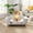 Beige + Corduroy, variant on Elroy  Orthopedic Dog Bed, Elevated Dog Sofa Bed for Small Dog, Supportive Foam Pet Couch Bed with Wooden Legs, Modern Pet Sofa Bed, Dark Gray