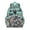 Greenish-blue-12, variant on Sweet Red Berry Student Backpack with Kawaii Strawberry Lover Design Lightweight and Spacious School Book Bag for Student and Students