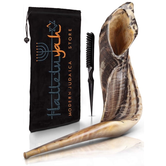 Cuerno de carnero Shofar Halleluyah, 14 a 16 cm, kosher, inodoro, con accesorios