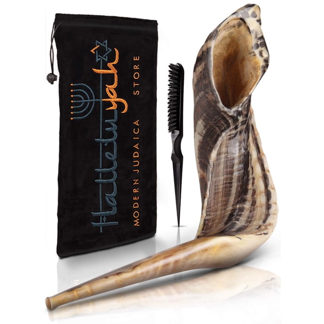 Cuerno de carnero Shofar Halleluyah, 14 a 16 cm, kosher, inodoro, con accesorios