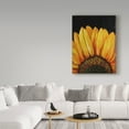thumbnail image 3 of Trademark Fine Art 'Sunflower Sunflower' Canvas Art by Marcia Baldwin, 3 of 3