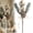Gold, variant on Clearance Under $2! Holiday Decorative Twig Picks Frosted Branch with Pod Clusters for Vase Display