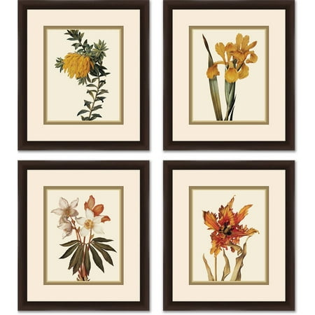 Botanical Flower Set 14