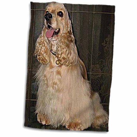 3dRose Cocker Spaniel - Towel  15 by 22-inch (twl_714_1)
