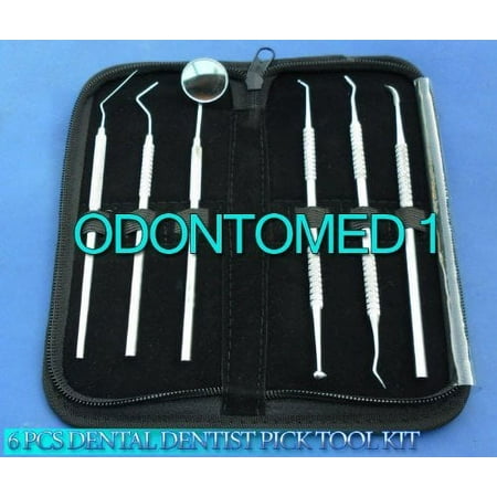 Dental Dentist Pick Tool Kit 6 Piece