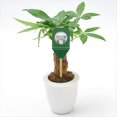 thumbnail image 2 of Mini Medidor de Humedad del Suelo, Sonda de Metal, Planta de Jardinería, Analizador de Humedad de Flores, Herramienta de Detección de Medidor de Humedad, 2 of 5