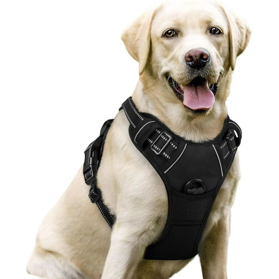 rabbitgoo Dog Harness, No-Pull Pet Harness with 2 Leash Clips, Adjustable Soft Padded Dog Vest, Reflective Outdoor Pet Oxford Vest with Easy Control Handle for Large Dogs, Black