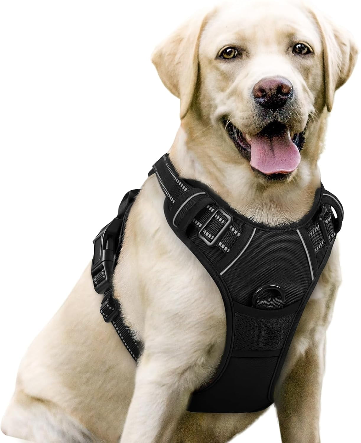 Rabbitgoo No Pull Dog Harness, Black, Large photo 1