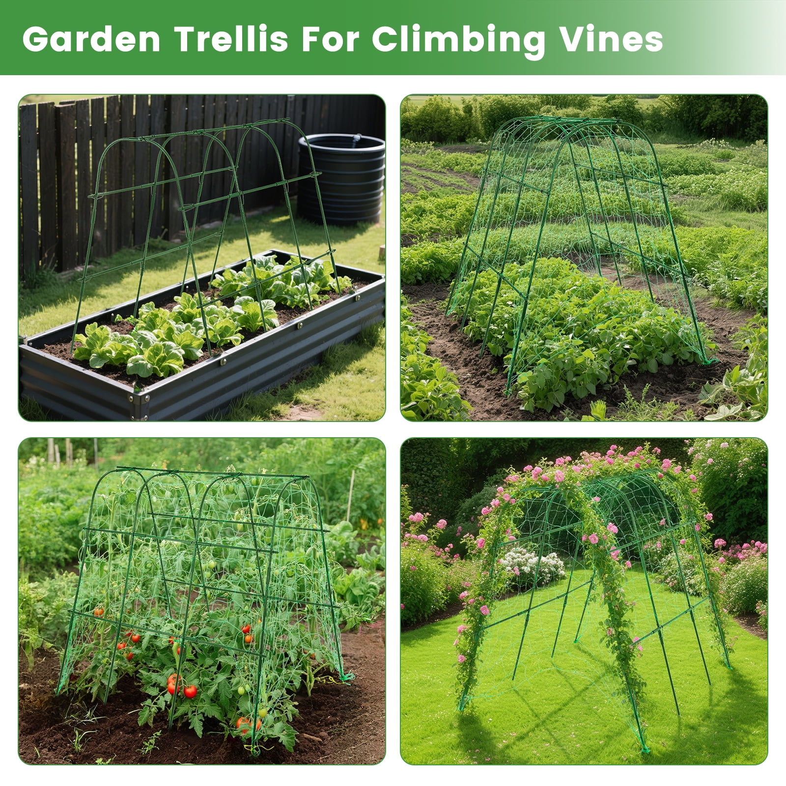 BEAMNOVA Garden Arch Trellis for Climbing Plants, 48"x63" Plants Support Trellis with Netting Kits for Outdoor Vegetable Fruits Flowers, Vine, Grape, Cucumber Climbing