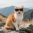 thumbnail image 3 of Pet Glasses Cat Sunglasses Sun Goggles with Adjustable Straps for Outdoor Activities and Driving, 3 of 8