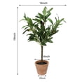 thumbnail image 3 of Mainstays 18"H Artificial Olive Plant in 3.3"H Terra Cotta Planter, 3 of 6