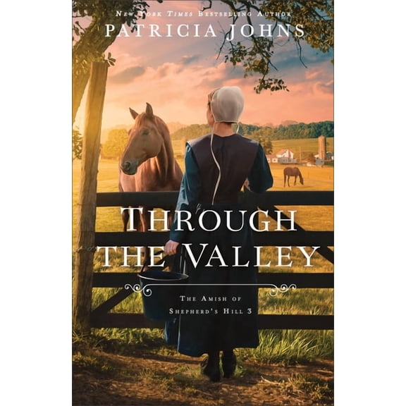 The Amish of Shepherd's Hill Through the Valley, (Paperback)