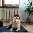 thumbnail image 7 of ADDHAT Adjustable Red Plush Pet Beret Winter Warm Hat for Large Dogs, 7 of 7