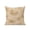 Beige, variant on Fall Maple Leaf Outdoor Throw Pillow with Insert, 16"x16" Rustic Minimalist Orange Brown Textile Texture Waterproof Decorative Square Patio Pillows for Outside Furniture, Sofa, Porch, Garden