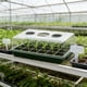 thumbnail image 4 of Bandejas de Humedad para Plantas de Interior, Caja de Cultivo de Semillas Cubierta de 24 Agujeros 37x23cm, Ventilación Ajustable, Bandejas de Plástico para Plantas, 4 of 6