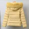 thumbnail image 5 of Winter Jackets for Women Short Padded Coat Winter Warm Thermal Outerwear With Hood Detachable Windproof Jacket For Cold Weather Winter Coats for Women, 5 of 6
