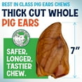 thumbnail image 2 of Large Pig Ears for Dogs 100 Pack –Single Ingredient Dog Treats – Long Lasting Chew by Fetcheroni, 2 of 8
