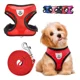 thumbnail image 1 of Correa Y Pechera Arnes De Malla Perro Chico Mediano Y Grande, 1 of 6