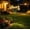 Multicolor-B, variant on Solar Fiber Optic Cherry Blossom Garden Stake Light for Lawn Decor Outdoor Waterproof Multicolor Landscape Pathway Yard Lamp