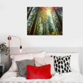 thumbnail image 4 of Nawypu California Redwoods Sun-Rays and Sky Art Print Wall Art Poster Living Room Office Decor Art Print Poster Modern Family Bedroom Decor Posters (20x16 inch), 4 of 4