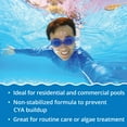thumbnail image 3 of In The Swim Pool Shock  68% Cal-Hypo Granular Sanitizer for Crystal Clear Water  Defends Against Bacteria, Algae, and Microorganisms- 24 X 1 Pound 25266 2X12X1, 3 of 5