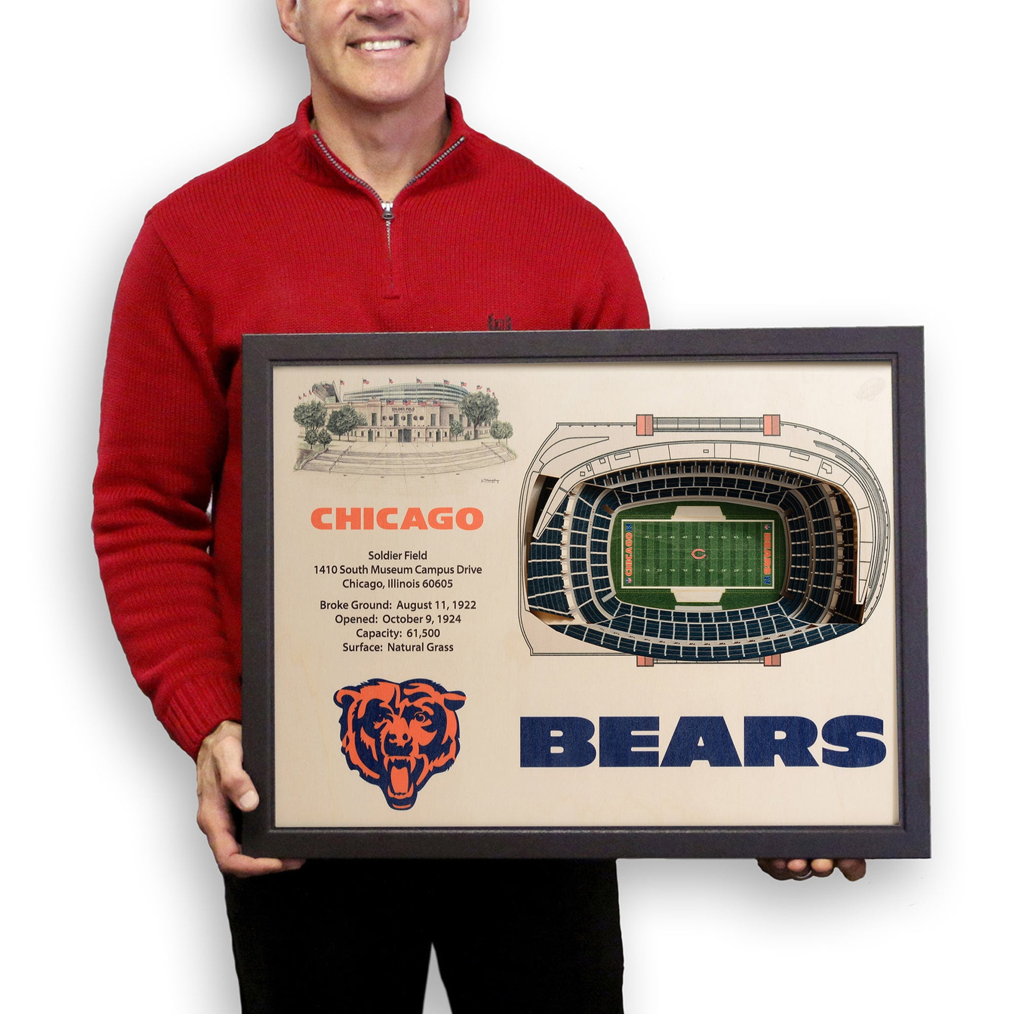 Chicago Bears Wall Art - Soldier Field