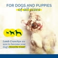 thumbnail image 5 of Pet Center Inc. (PCI) - Lamb Crunchys, 16oz. - Dog Treat, 5 of 7