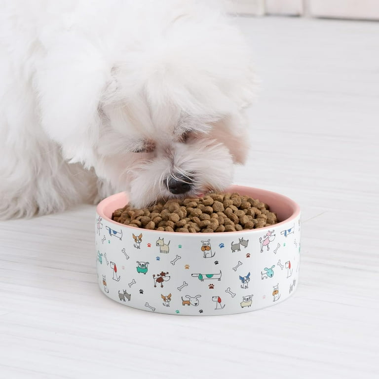 Rae Dunn Ceramic Dog Food and Water Bowls Cute Pet Water and Food Bowls for Dogs and Cats Set of 2