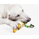 thumbnail image 3 of Dinosaur Egg Dog Teething Chew Stick Dog Toothbrush Teeth Cleaning Dog Toys Pet Teething Sticks Toys, Yellow, 3 of 4
