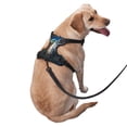 thumbnail image 2 of Fotbe Ocean Coral Turtle Arnés para Perro con Estampado –Chaleco Ajustable Acolchado con Asa de Control para Perros Grandes-Small, 2 of 6