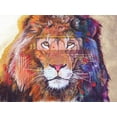 thumbnail image 2 of Stevenson, Graeme 24x19 Black Ornate Wood Framed with Double Matting Museum Art Print Titled - Rainbow Majesty, 2 of 4
