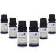 thumbnail image 2 of Set de 6 Aceites Esenciales para difusor Punto aroma Lima, Y. Ylang,Naranja,Canela,Lemongrass, Tea Tree, 2 of 5