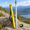 16FT - 10ths, variant on 9FT - 10ths Aluminum Grade Rod, 3-section Telescopic Survey Level Tool