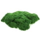 thumbnail image 4 of 1 juego de plantas en maceta, decoraciones de musgo, adornos de musgo artificial, musgo falso DIY, adornos decorativos de musgo, 4 of 8