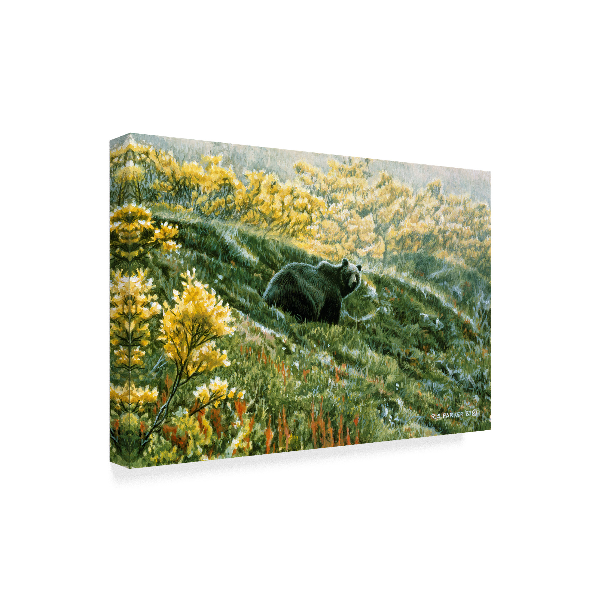 Trademark Fine Art 'Grizzly In The Blueberries' Canvas Art by Ron Parker