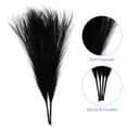 thumbnail image 3 of 2 Paquetes de Hierba Pampas Falsa de 17 Pulgadas, 10 Tallos de Hierba Artificial para Decoración, Negro, 3 of 6