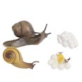 thumbnail image 4 of verishout 1 Set Life Cycle Models Exquisite Interesting Display Prop Unique Simulation Education Props Animal Toy for Children Snail 5Set, 4 of 6