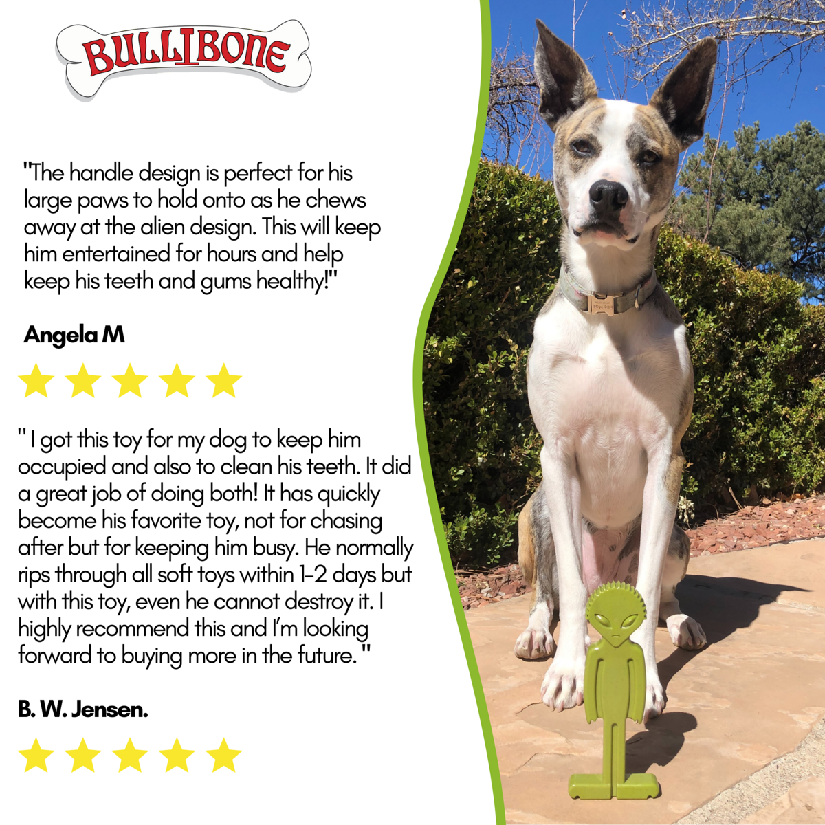 Bullibone Alien Bone Dog Chew Toy, Super Greens photo 7