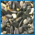 thumbnail image 4 of Coles Blue Ribbon Blend Bird Seed, 20-Pound, 4 of 4