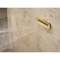 thumbnail image 3 of Kohler K-26300-G Statement Single Function Oval Metal Body Spray - Nickel, 3 of 7