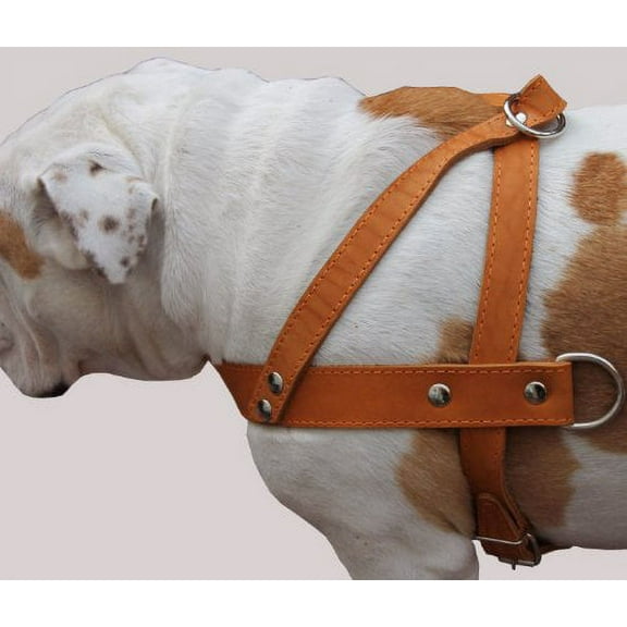 High Quality Tan Leather Dog Pulling Walking Harness Large. 31"-35" Chest, 1.5" Wide Straps